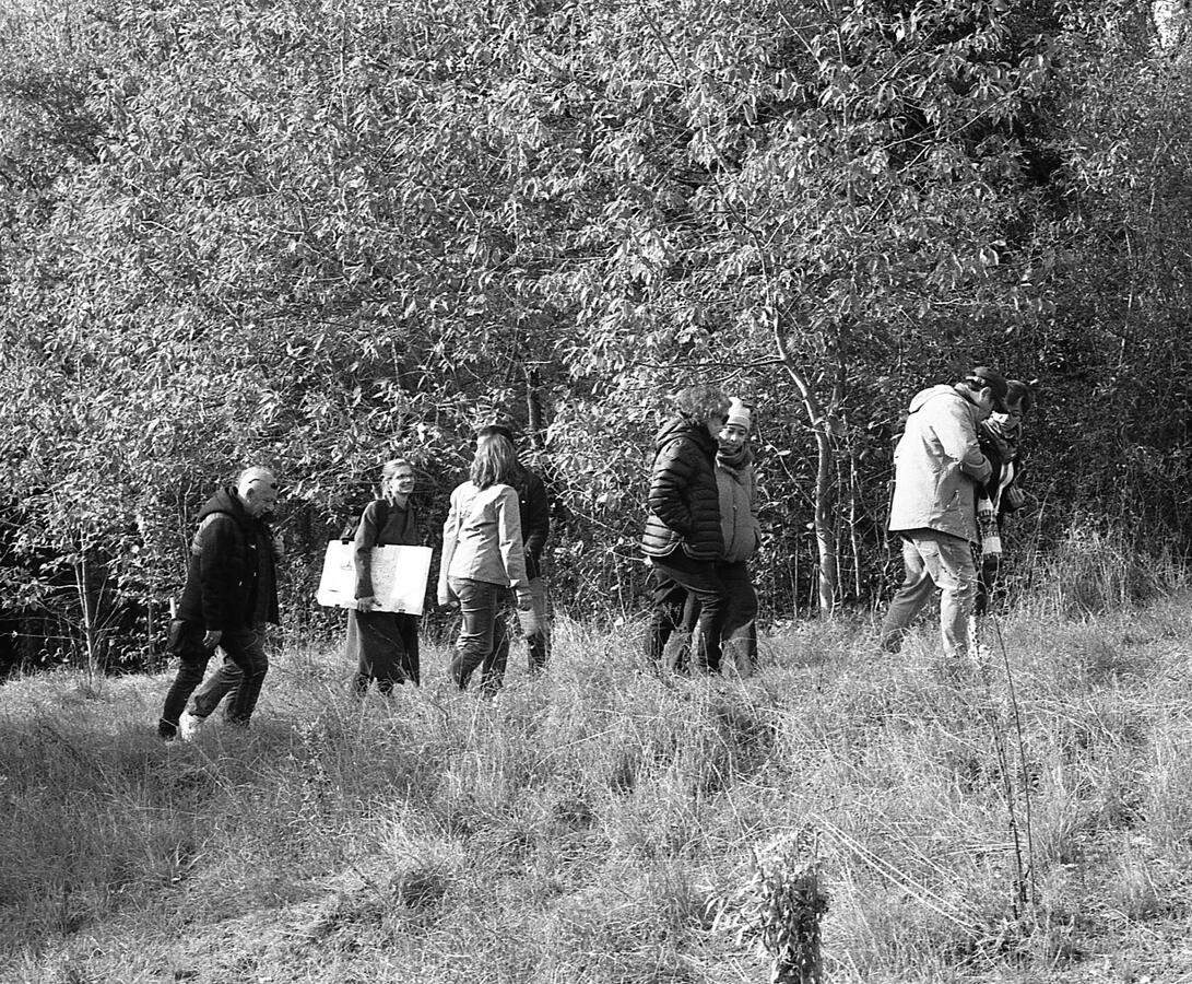 Walks