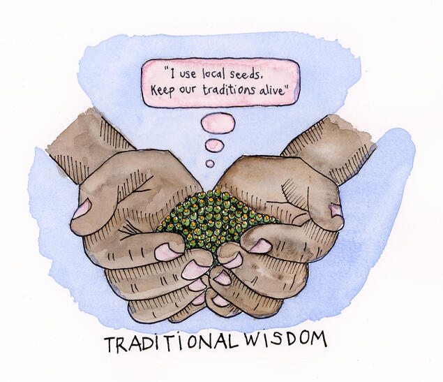Traditional Wisdom