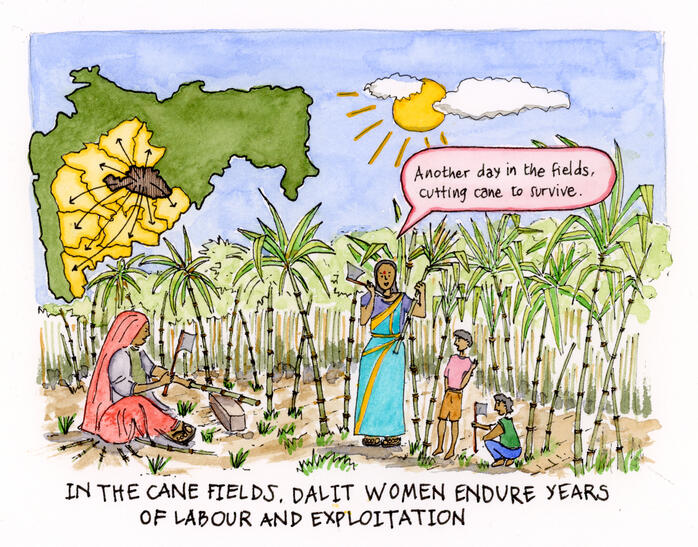 Cane Fields